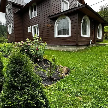 Forest Hugs славсько Khashchovanoye