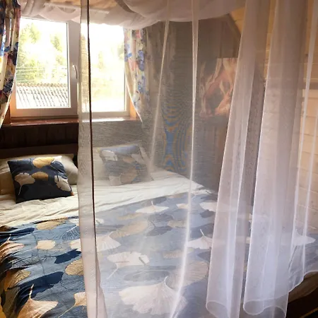 Forest Hugs славсько * Khashchovanoye