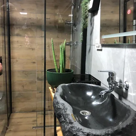 Forest Hugs славсько *