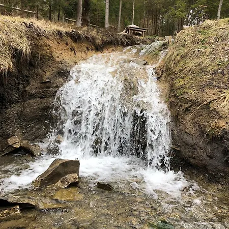 Forest Hugs славсько Appartement Khashchovanoye