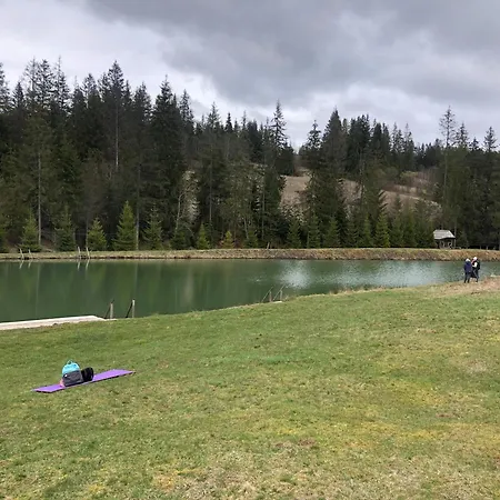 Forest Hugs славсько *