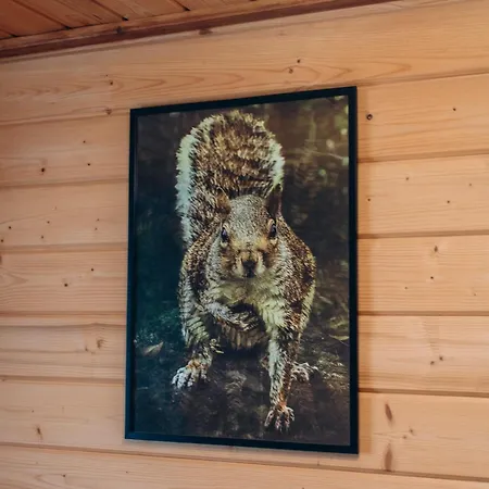 Forest Hugs славсько * Khashchovanoye