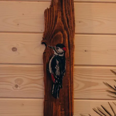 Forest Hugs славсько Appartement