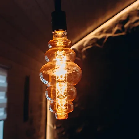 Forest Hugs славсько Khashchovanoye