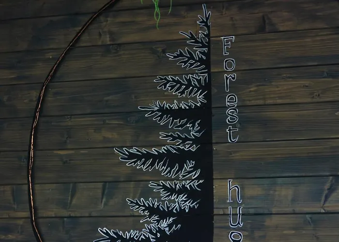 Forest Hugs славсько