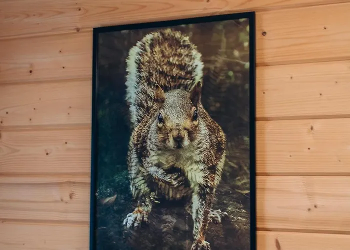 Forest Hugs славсько * Khashchovanoye